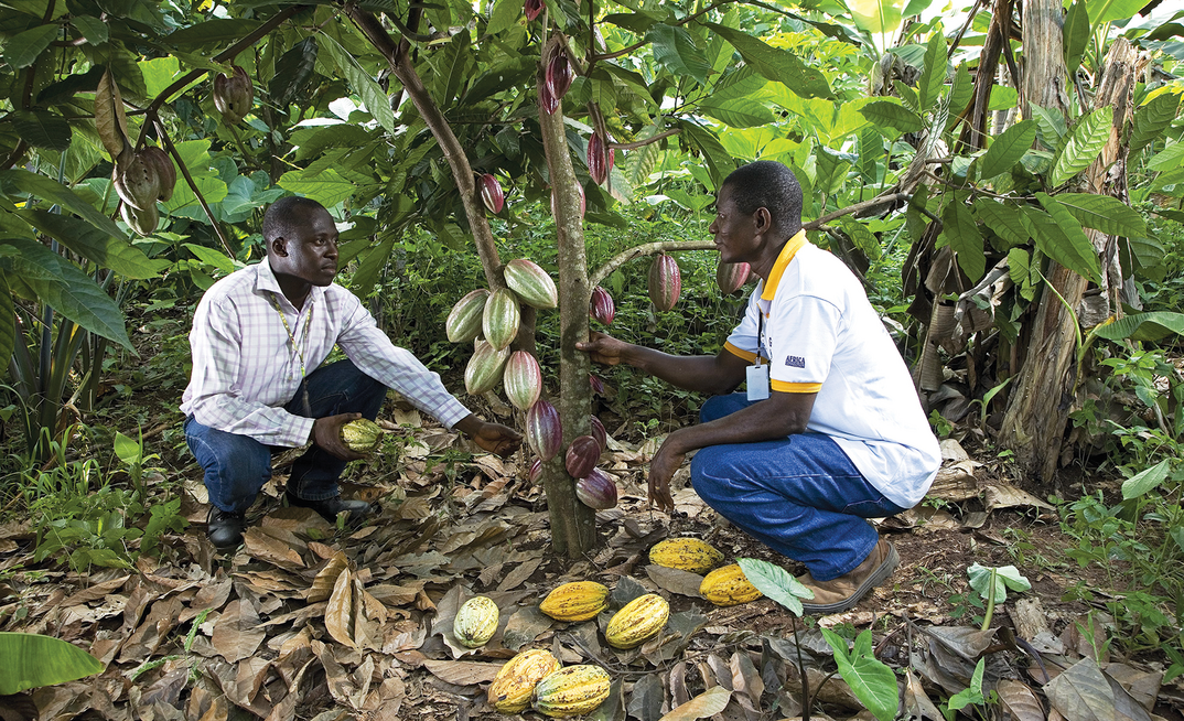 Photos: Newmont Mining Corporation / Anglo American