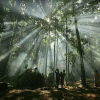 Indigenous futures thinking: 4 approaches to imagining a better world