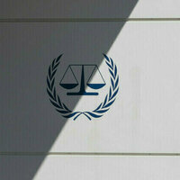 ICC applies double standards law professor
