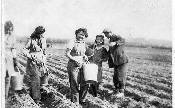 Women s history month classic potato planting 580x358.jpg
