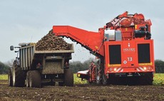 Better weather promises beet yield boost amid season's challenges