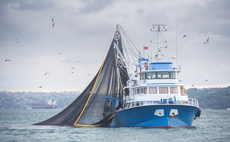 'Not fit to deliver': Why poor seafood traceability could see brands miss out on 'sizeable' financial prize