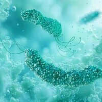Alzheimer's: bacteria that causes stomach ulcers may protect the brain, our new research indicates