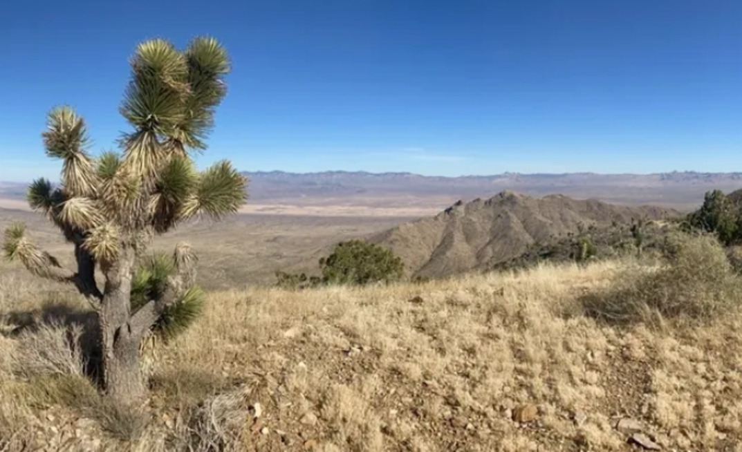 Locksley's 'nearology' play locks in decent funding following stellar run