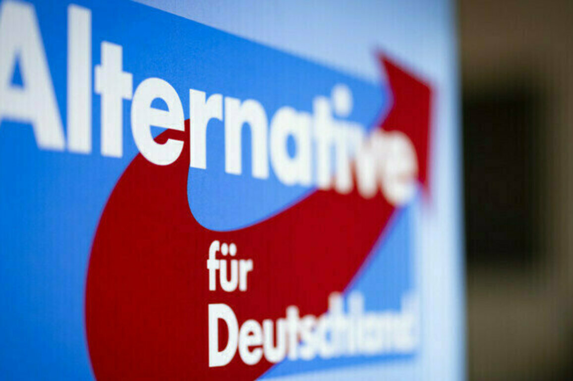 Germanys AfD more popular than ever