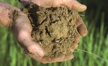 Northern soils surprisingly nitrogen-friendly