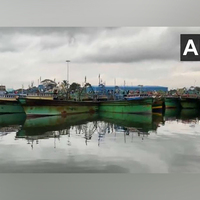 Tamil Nadu: Orange alert issued for Thoothukudi; heavy rains impact salt production, boats docked