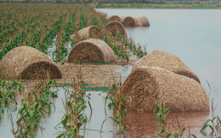 Research: Climate change most significant factor shaping EU farming adaptation