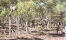 Outskirts of Ophthalmia Dam near Newman, WA.