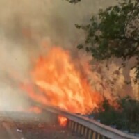 Delhi: Fire in bushes near Rajghat Bus Depot, no casualties reported