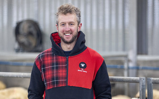 The Sheep Game's Cammy Wilson on improving flock performance through smarter dosing