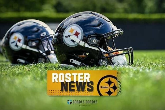 Steelers elevate two for Ravens game