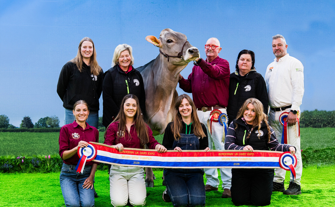 The inaugural coloured breeds and Brown Swiss champion, Toi Toi My Mums A Hoover, from Brent and Anne Crothers, and the team at Toi Toi genetics, Shropshire. 