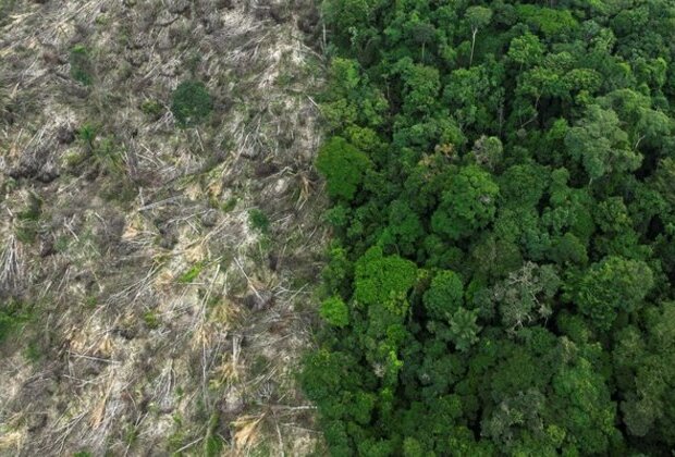 Ecuadorians vote to ban oil drilling in Amazon