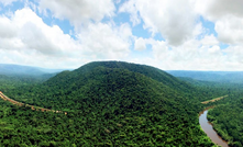  Área verde no Pará onde será criado um parque com quase 80 mil hectares pela Vale.