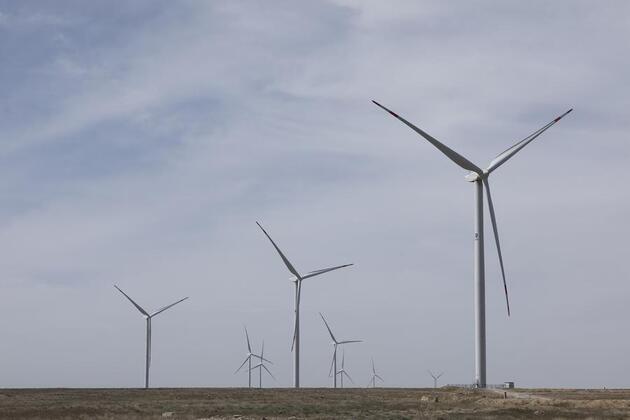 Feature: China, SCO partners join hands for more sustainable future