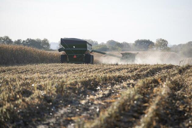 Roundup: U.S. small farmers devastated by tariff battles, shrinking markets