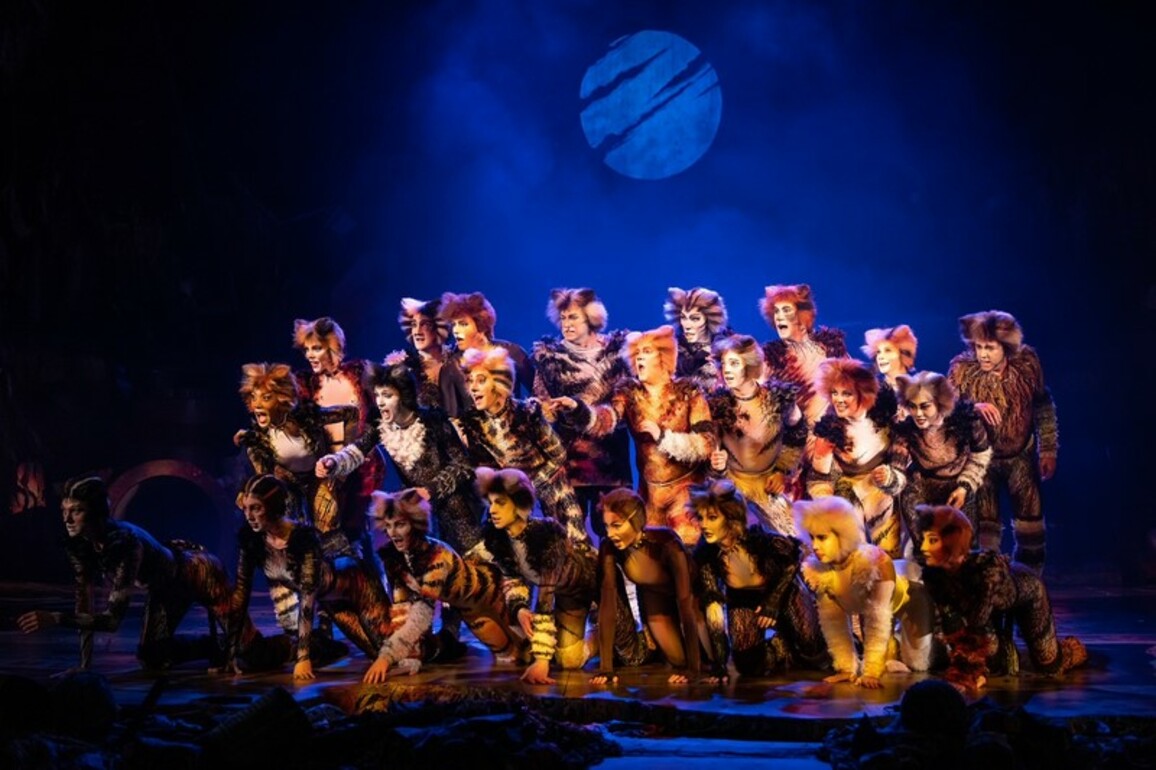 Legendary Musical CATS Returns to South Africa in 2025 for a Spectacular New Season