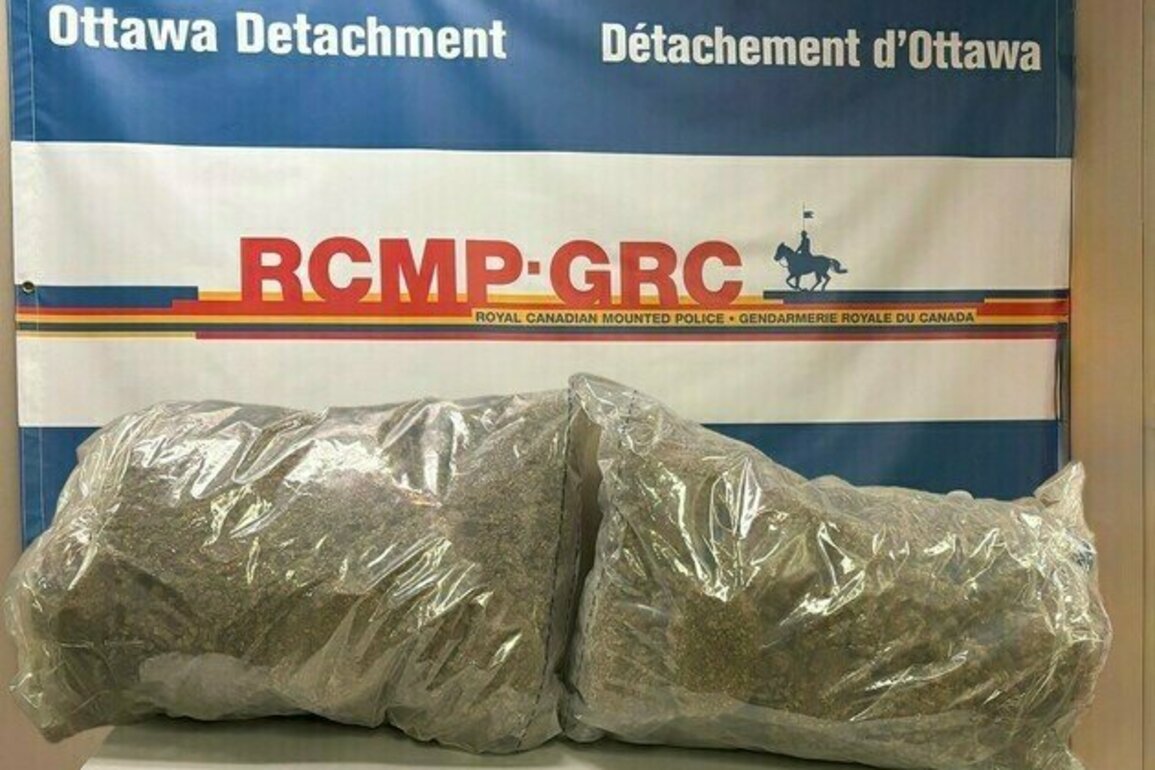 Offender sentenced in RCMP and CBSA cannabis exportation investigation