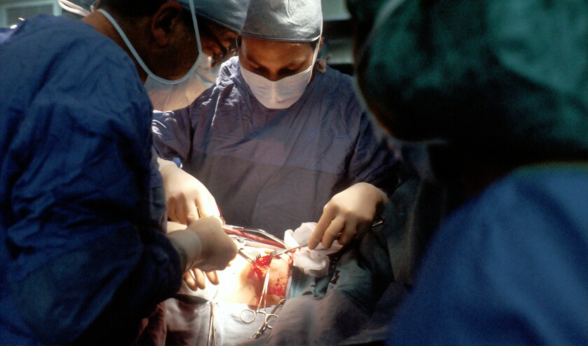 (c) National Cancer Institute/Unsplash  (c) National Cancer Institute/Unsplash