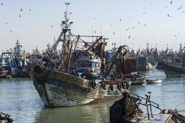 Western Sahara returns to European Court of Justice