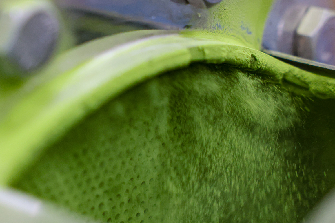 (GloriousGuizhou) CHINA-GUIZHOU-TONGREN-MOUNT FANJING-MATCHA INDUSTRY (CN)
