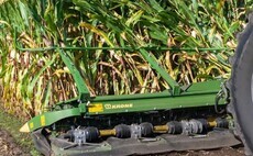 Managing European Corn Borer: Metal for maize pest