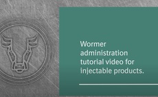 CATTLE Wormers: How to apply INJECTION products