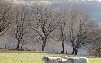  encouraged to complete online survey as part of farm assurance review