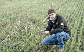 Four Scottish farms work together to create stronger future - 'spreading the costs, workload and risk is the only way forward'