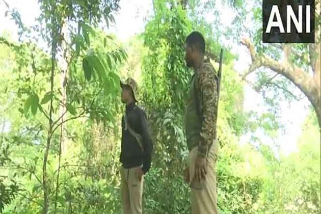 Darjeeling: Elephant strays into North Bengal University campus near Siliguri, damages reported