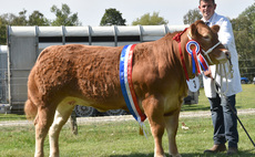 Commercial heifer claims supreme title at Hope Show