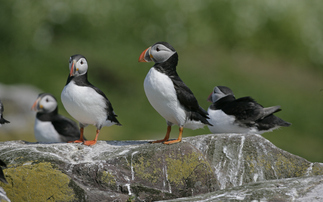 Can the government deliver its promised environmental improvements?