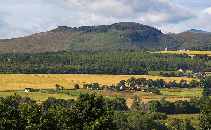 Scottish farmers and Government must work together to avoid 'England's ELM car crash'