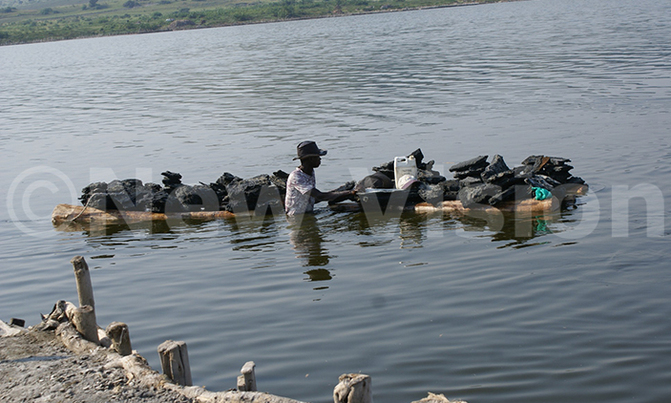 Salty environment rids Lake Katwe of life Salty environment rids Lake Katwe of life
