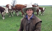 New rising beef champion crowned