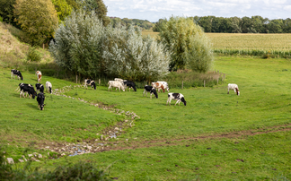 Farming Matters: "I farm regeneratively because I believe we can produce food in a way that heals rather than harms"