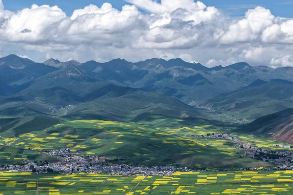 Feeling the pulse of rural revitalization in NW China's plateau villages