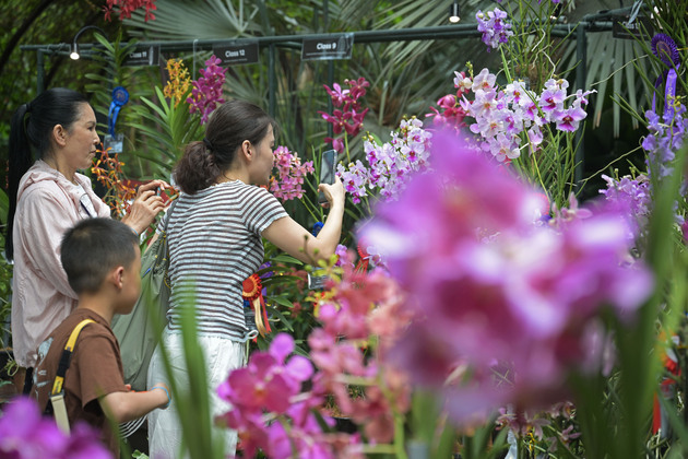 SINGAPORE-ORCHID EXHIBITIONS