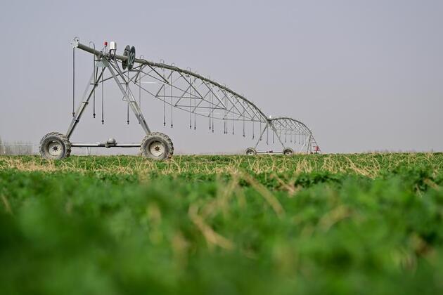 Interview: China's experience shows large-scale land restoration possible, says UN expert