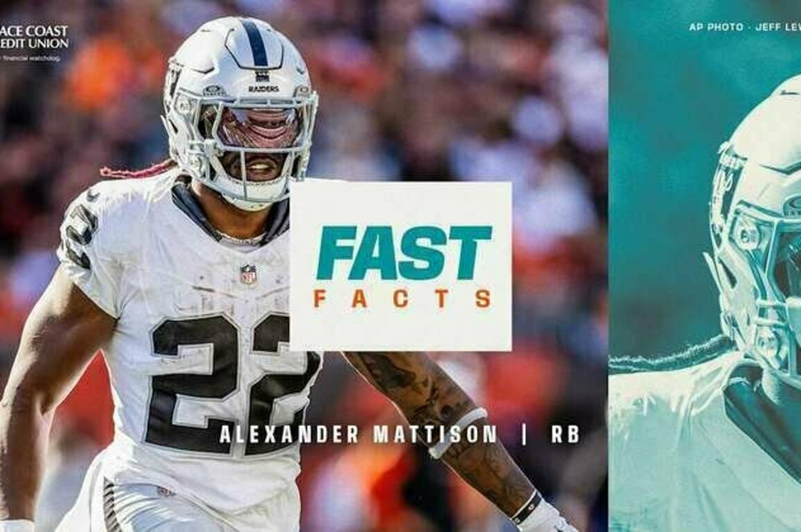 Fast Facts: Alexander Mattison
