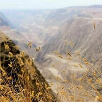 Declining soil health is a global concern - here's how AI could help