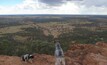  Dogs in central western Queensland