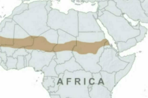 IS in Sahel expands terror threat beyond strongholds