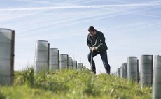 New tree fund open to farmers