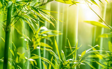 Investindustrial's Benvic bolts on Plantura