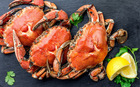 Fondo Agroalimentare Italiano invests in Urbis Food