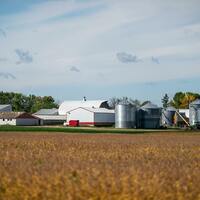 Sturdevant- Tariffs and Minnesotas farms- A delicate situation