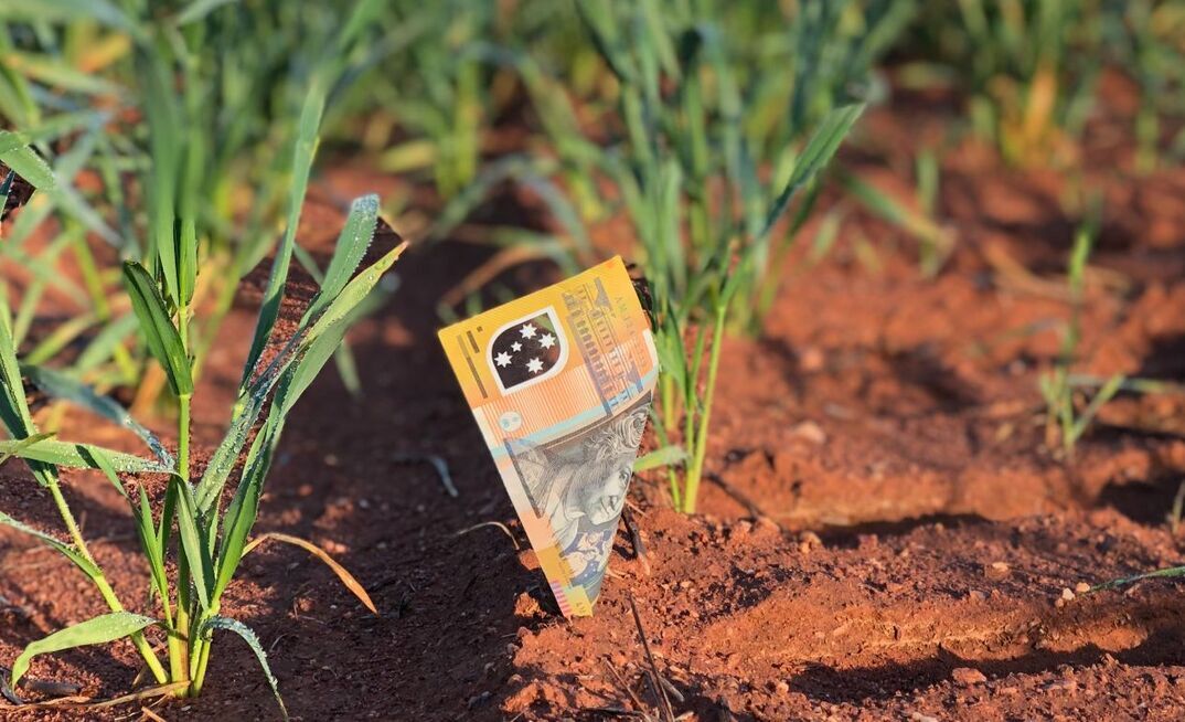 The 'right' N fertiliser decision maximises profit - but making the right decision can be difficult.