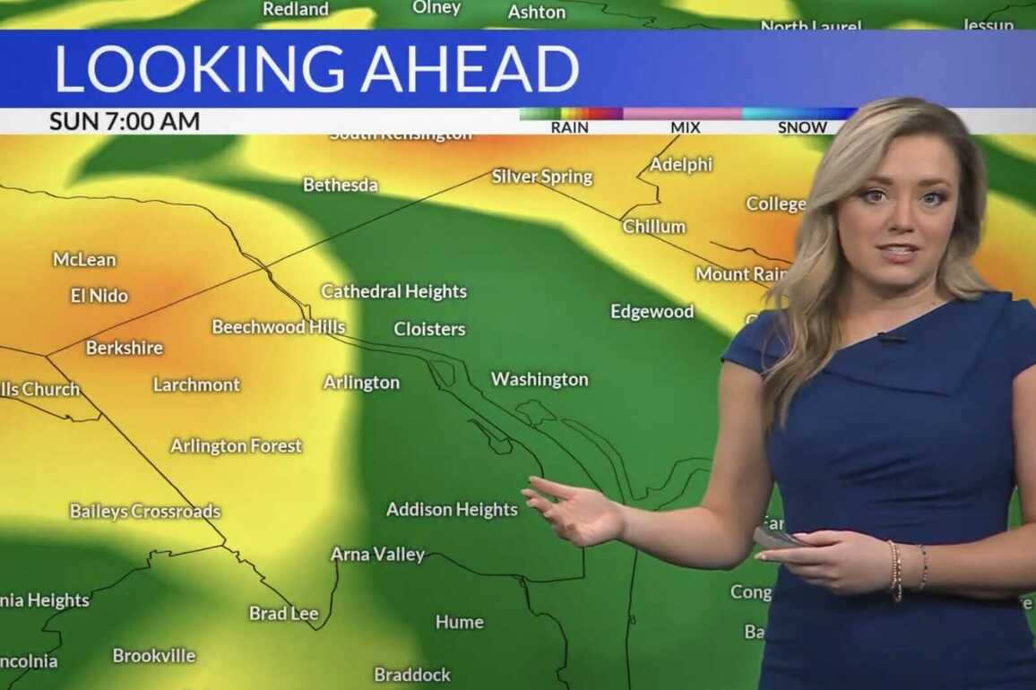 Rain and storms in the forecast this weekend